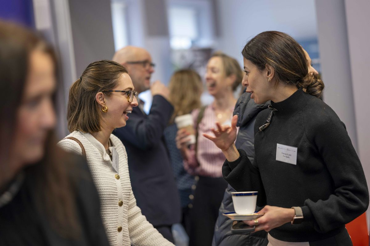 Have you always wondered what it would be like to be a Dragon?