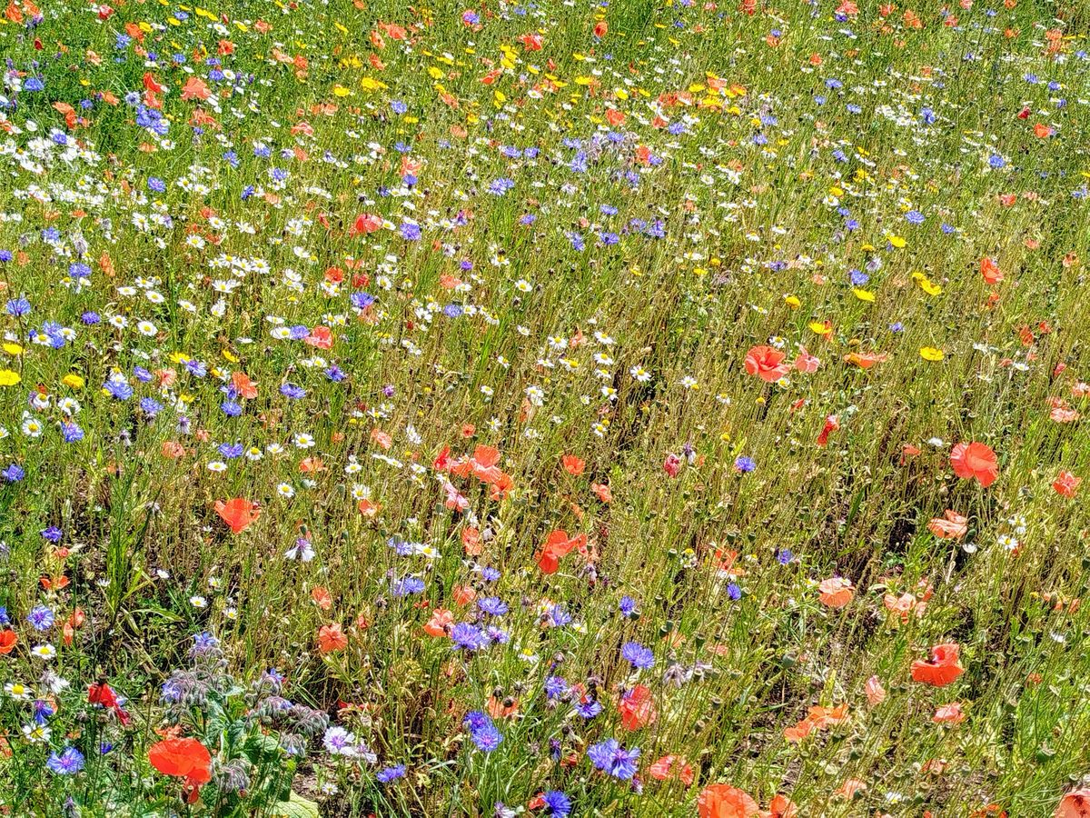Arthur's Seat Fitness