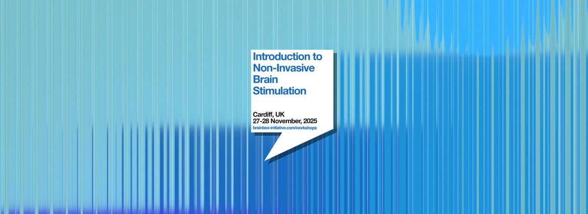 Introduction to Non-Invasive Brain Stimulation Workshop