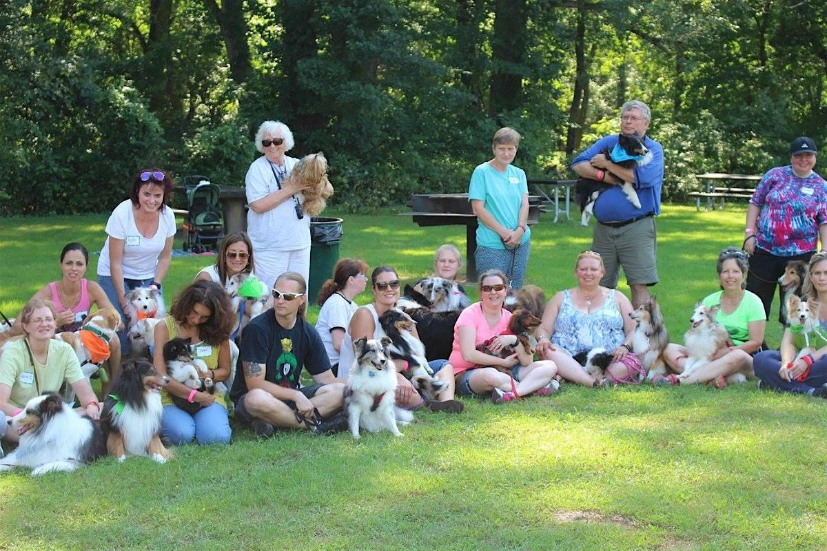 11th Annual Sheltie Day at the Park