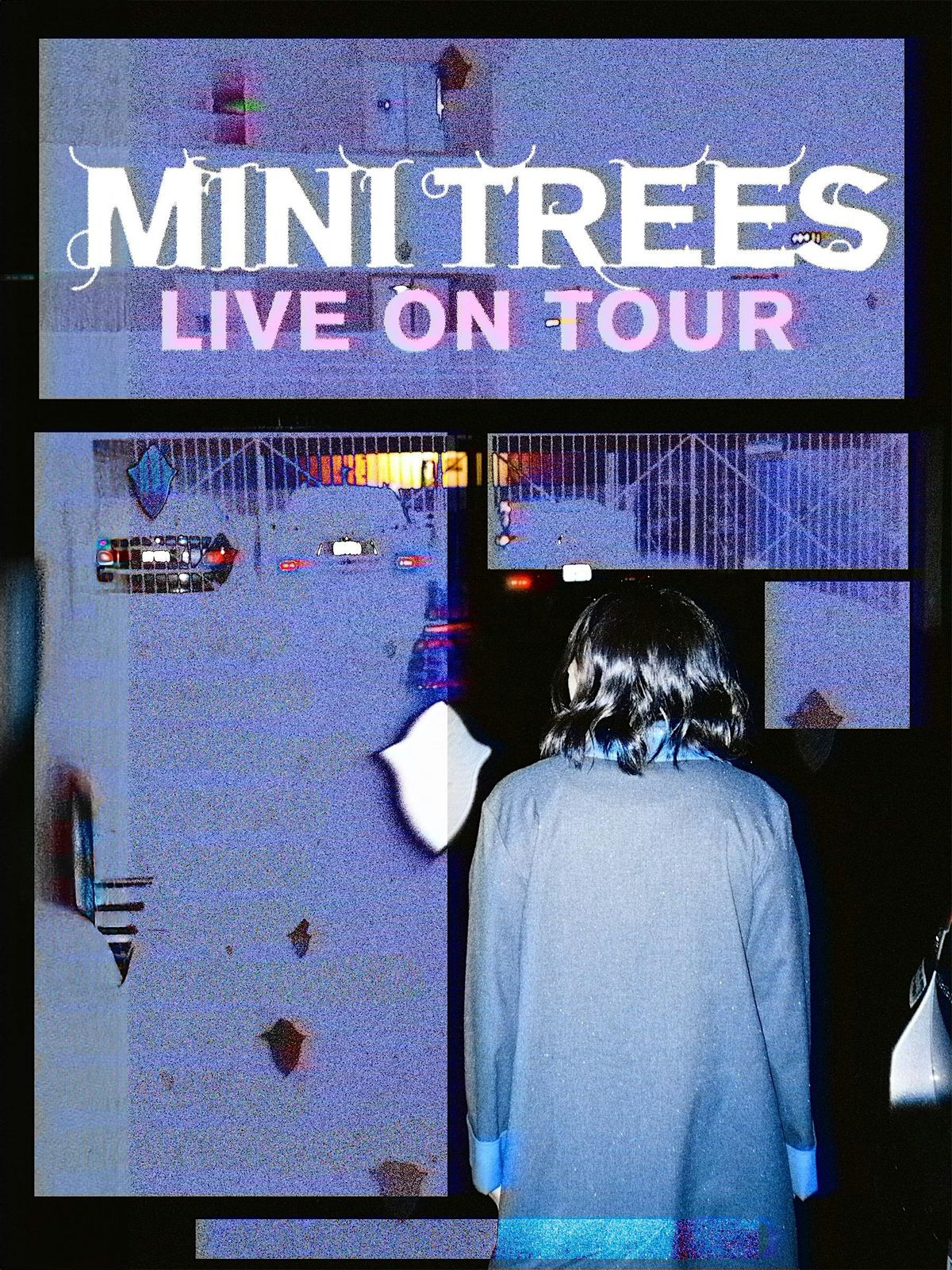 Mini Trees Live on Tour!