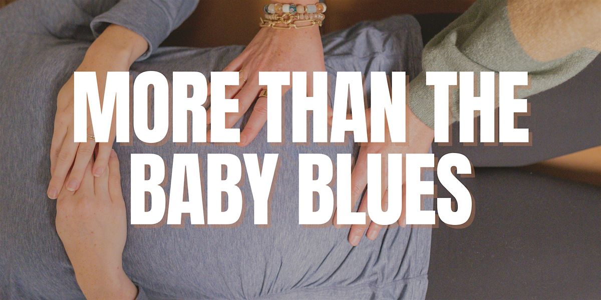 More Than The Baby Blues Workshop