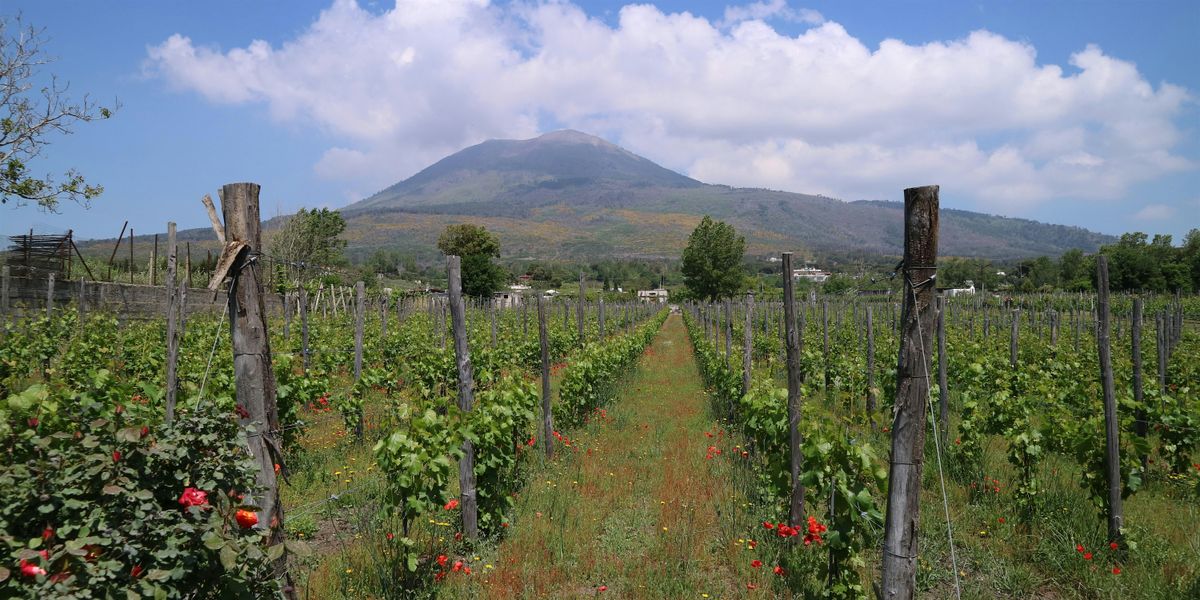 Uncorked: A tour of Campania