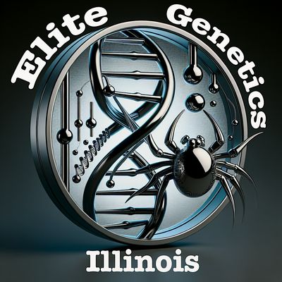 Elite Genetics Illinois