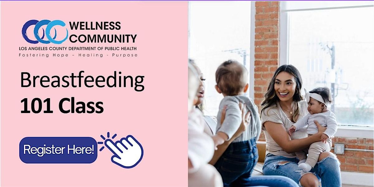 Breast\/Chestfeeding 101 Class