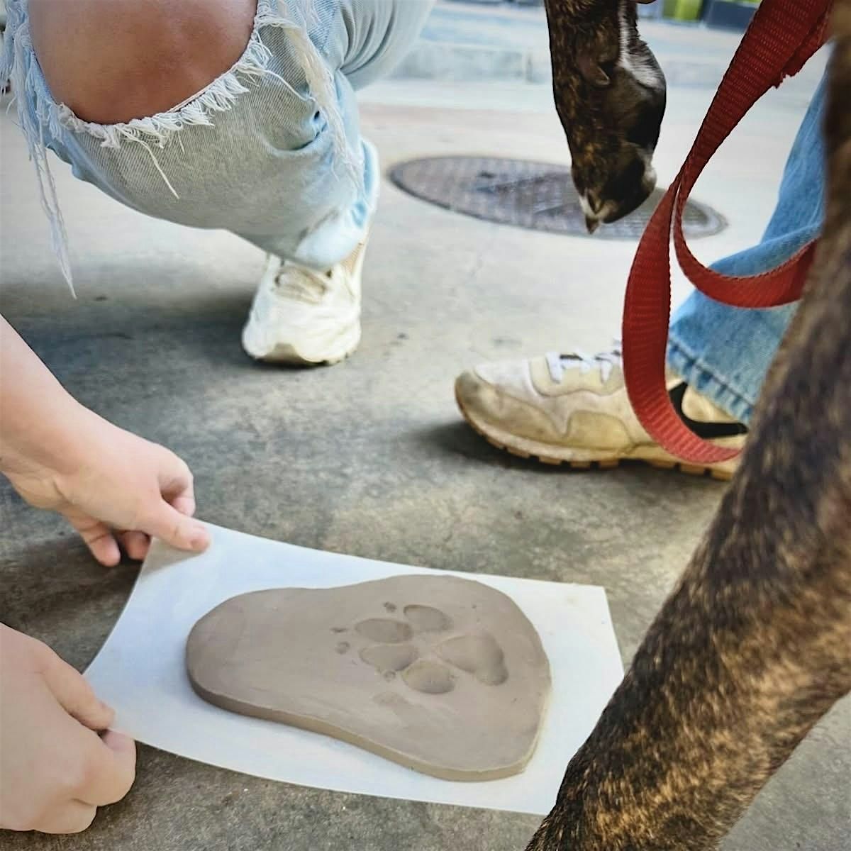 Woofs & Clay, Dog-friendly Pottery Workshop