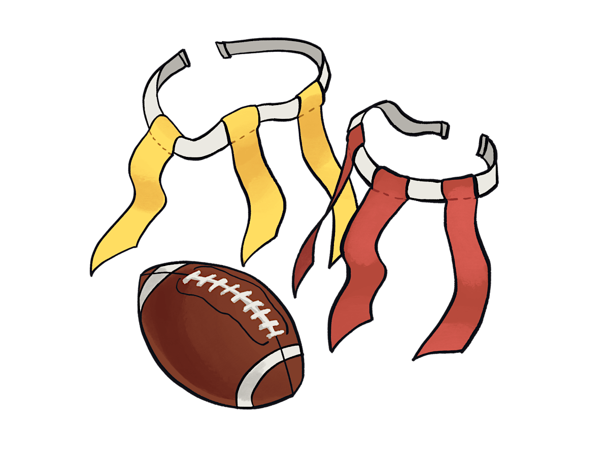 Turkey Bowl \/ Flag Football and Post-Hangout @ Barton Springs