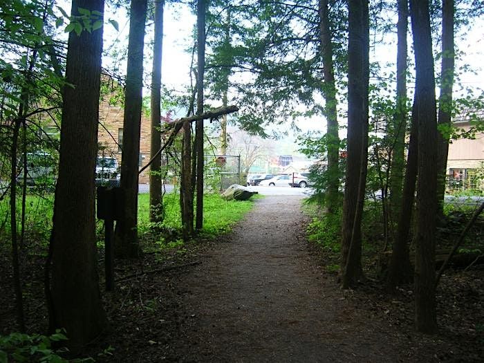 Adventurous Scavenger Hunt - Downtown By The Smokies