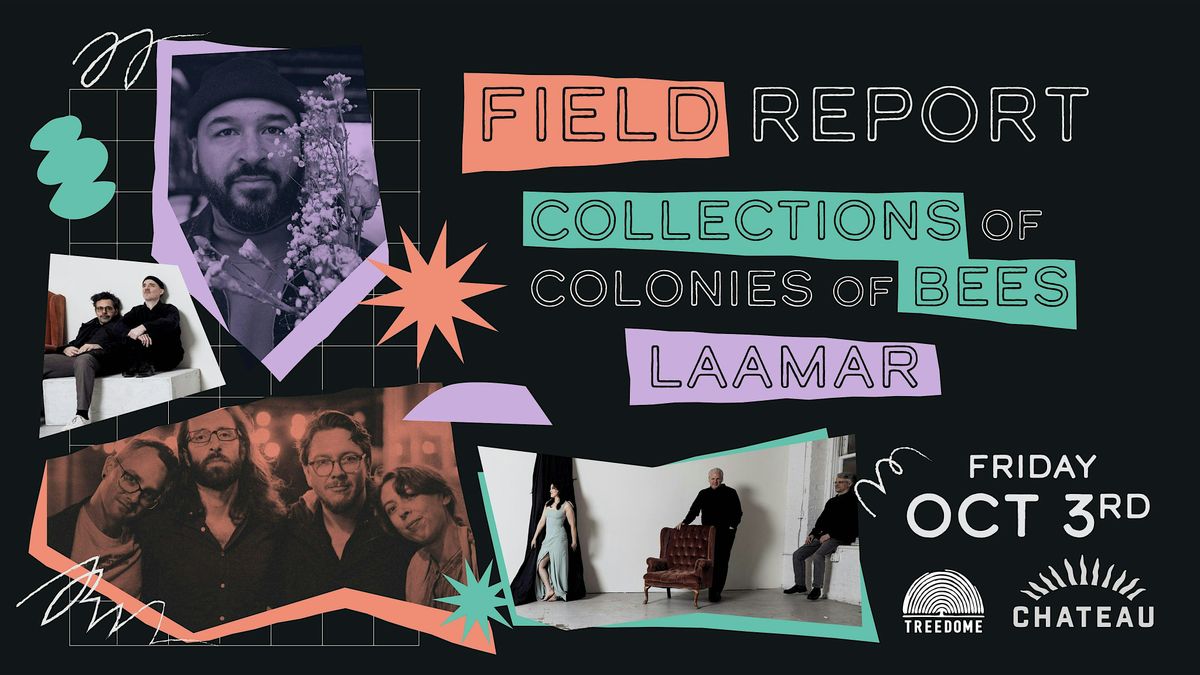 Field Report, Collections of Colonies of Bees and LAAMAR @ The Chateau