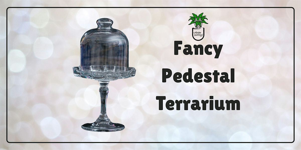 Fancy Pedestal Terrarium