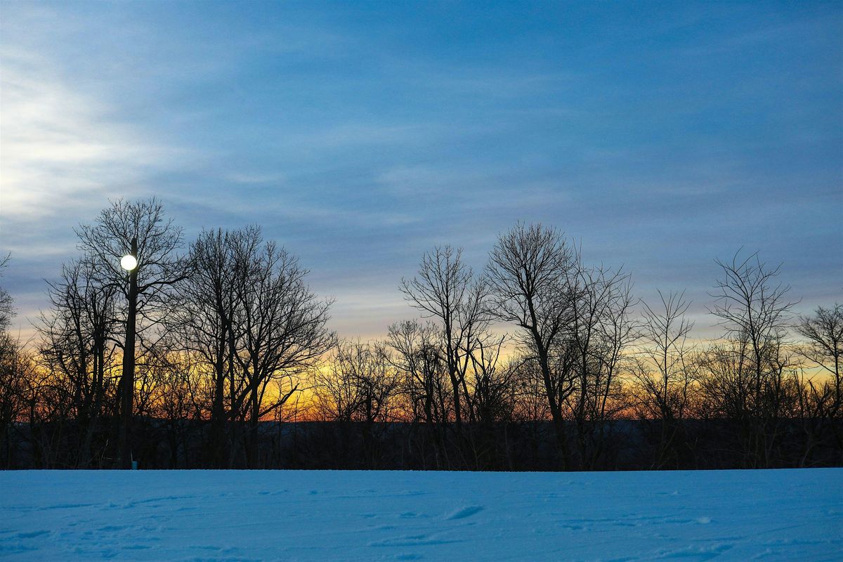 Awesome Scavenger Hunt! - Tombstone\u2018s Wild West Whimsy Hunt