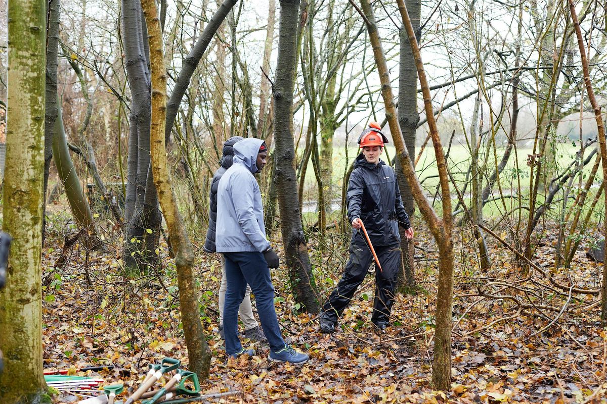 Citizen Forester Woodland Management, Clayton Vale, Manchester