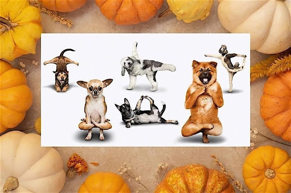 \u201cHowl\u201d-O-Ween Mutts & Zen