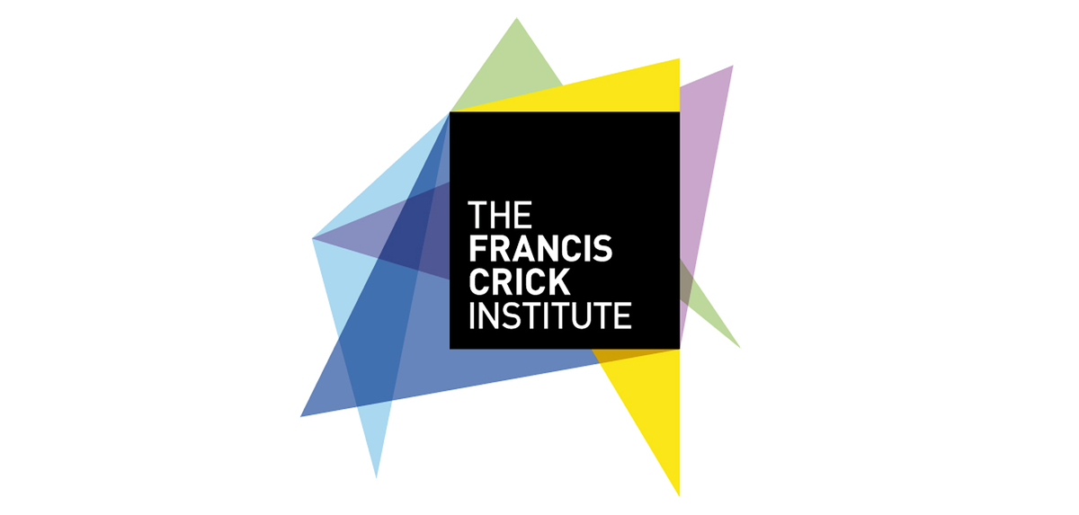 Beyond Borders: UK\u2013Japan Discovery Pitch