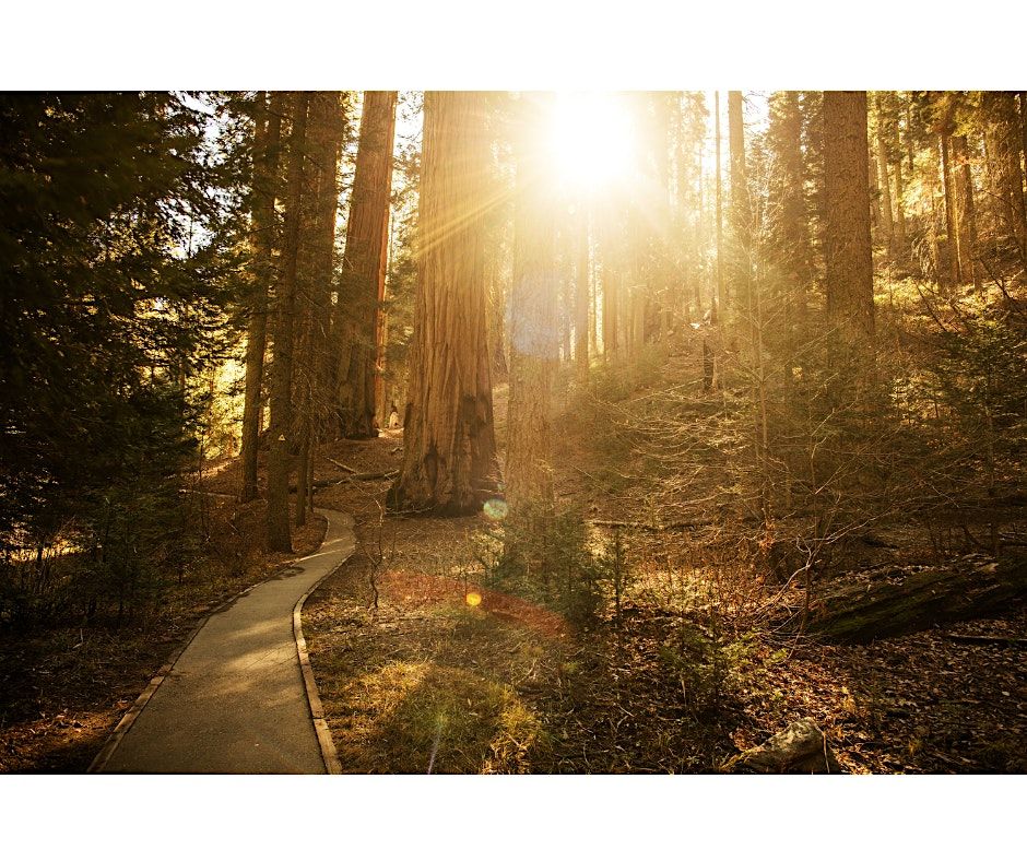 Pet Loss Walking Group