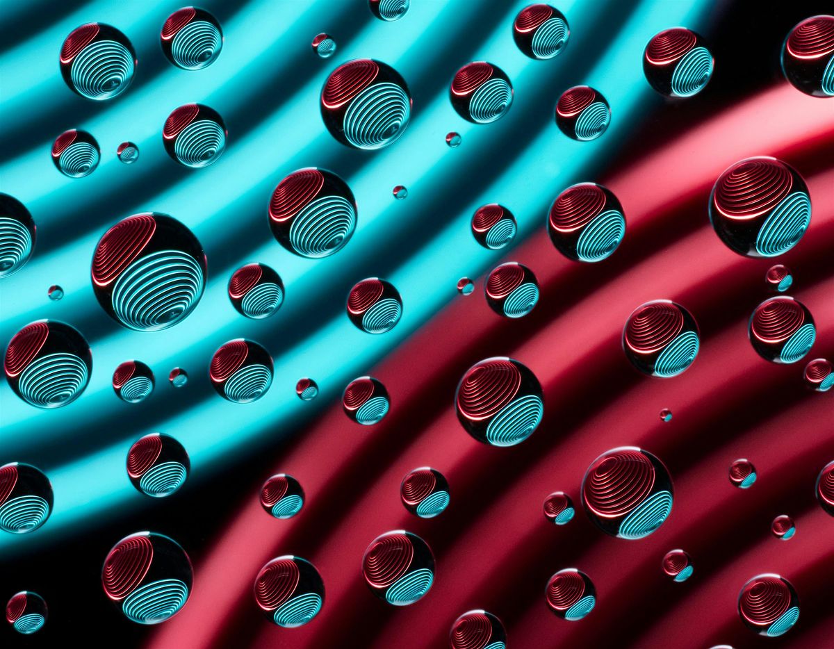 Tiny Frames: Magnifying the World with a Macro Lens