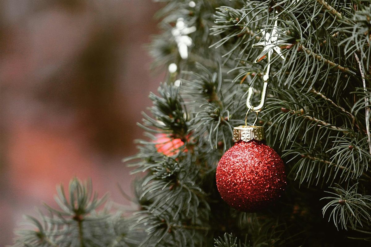 Christmas Tree Lot Opening