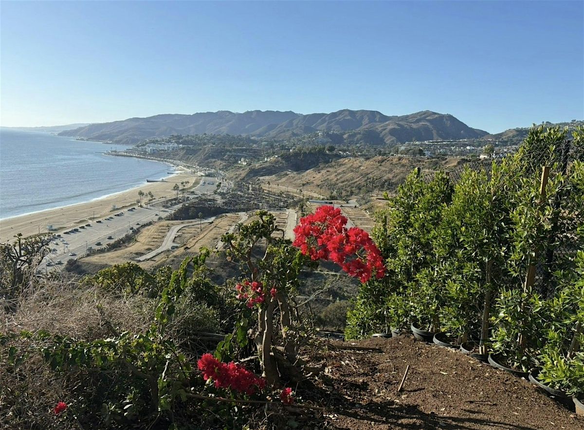 From Ruin to Resilience: Grief, Focus, and the Future We Choose