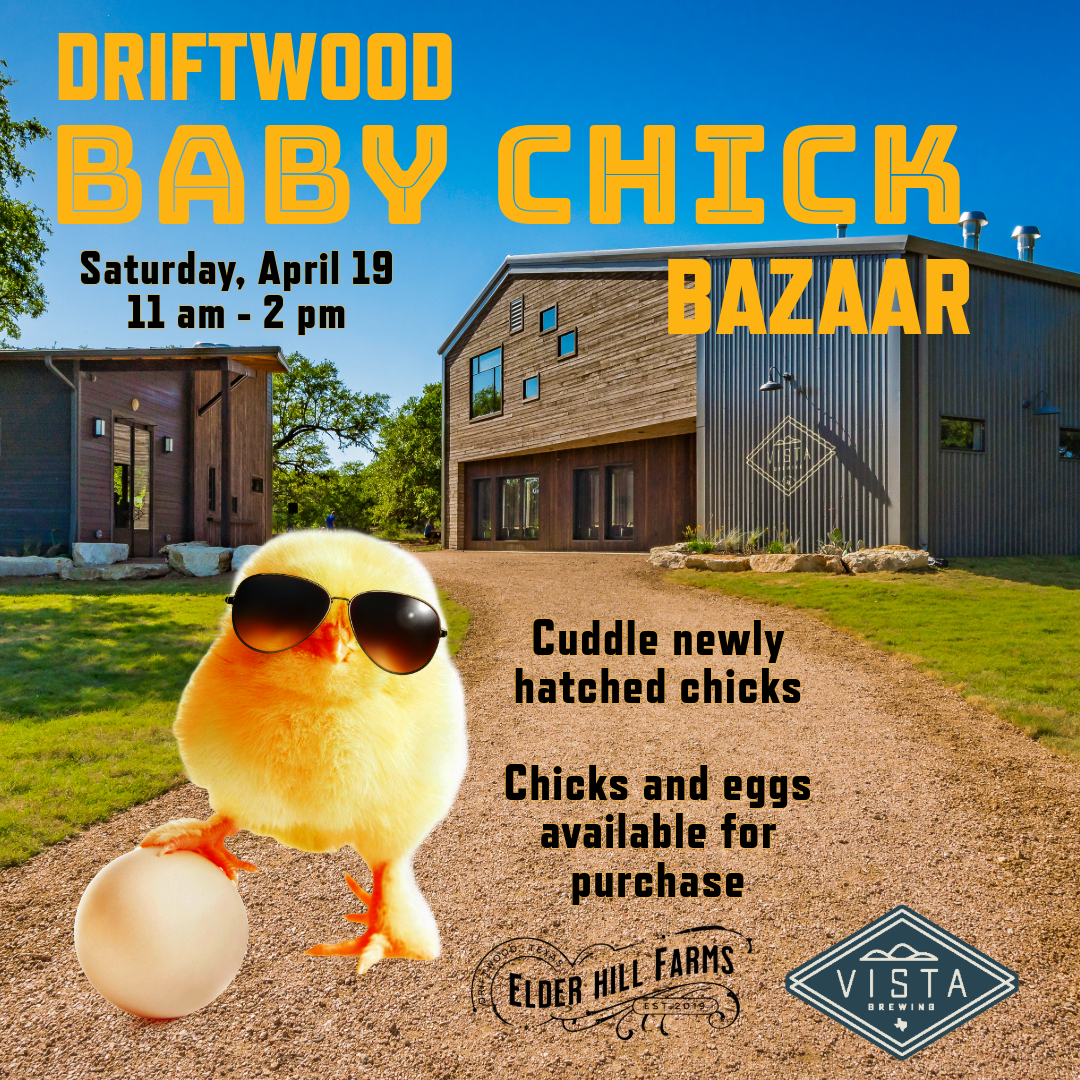 Driftwood at Mercury Lounge - NY