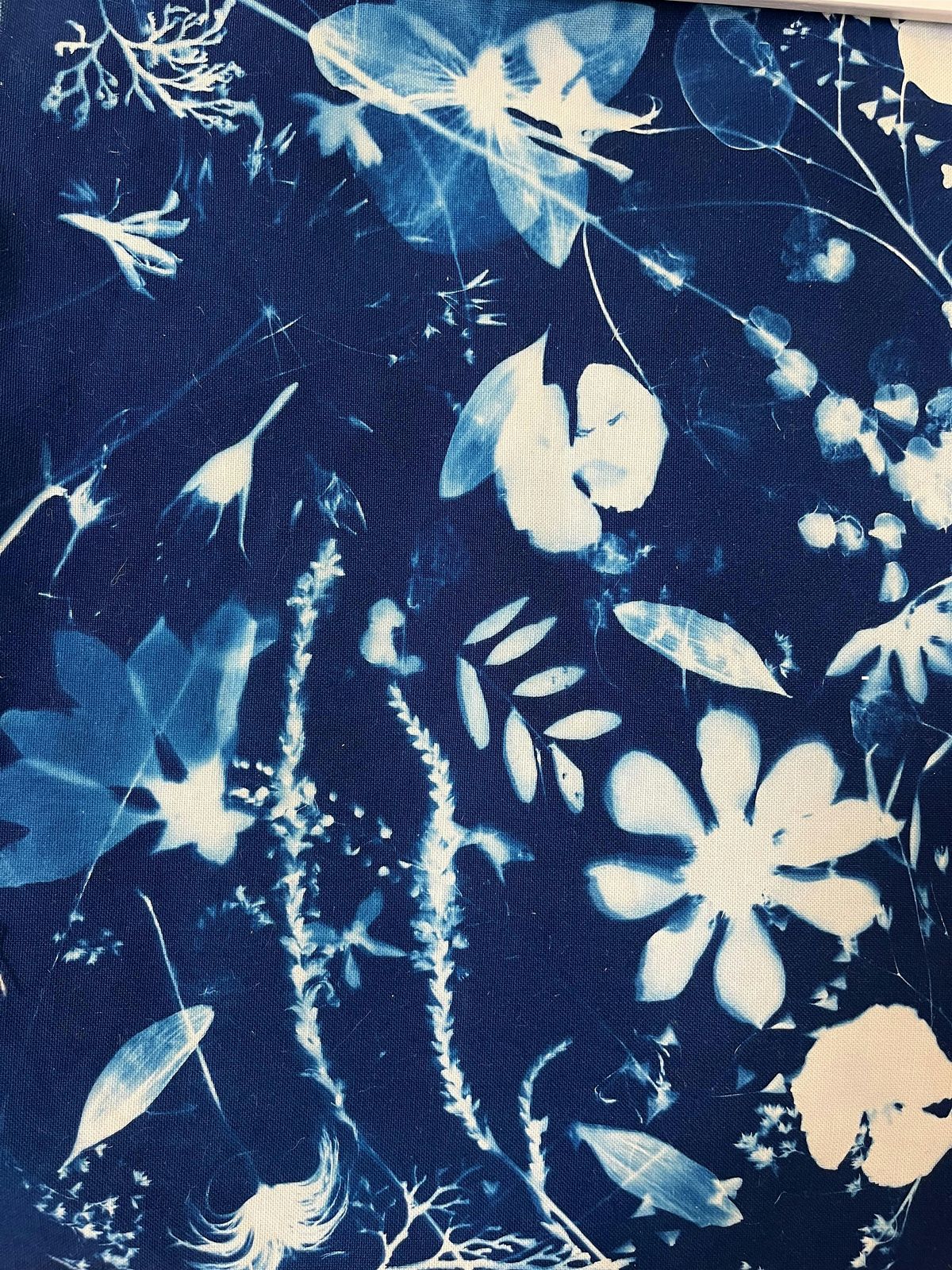 Cyanotype on Fabric Workshops at Mare Wilson Studio