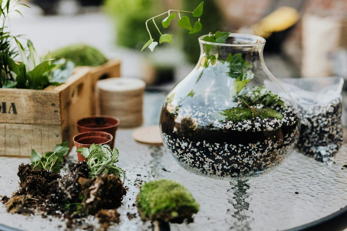 Terrarium Building Workshop in Asheville