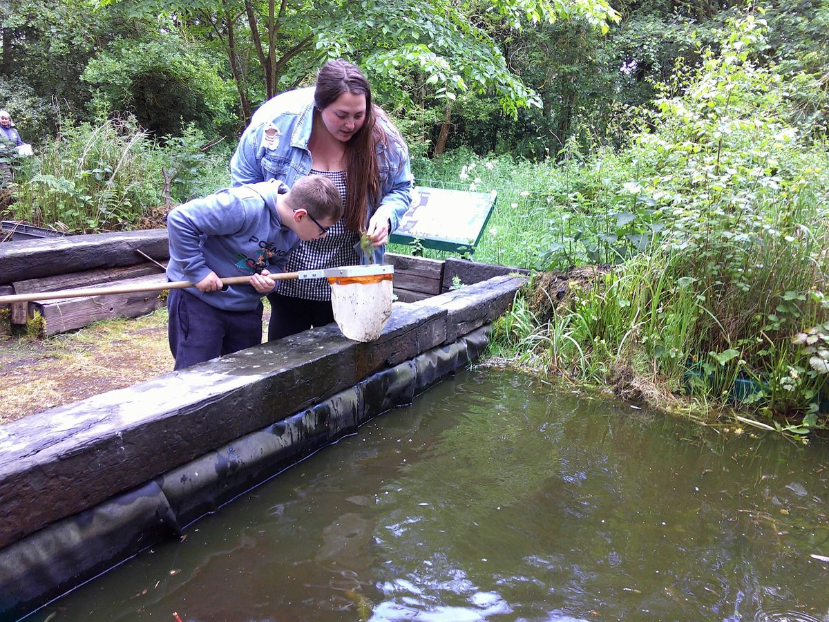 Family Pond Dipping