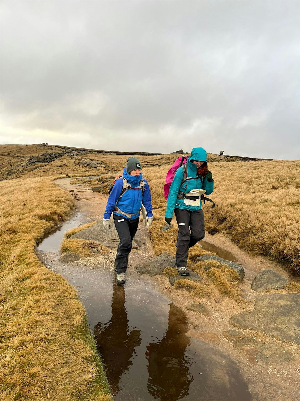 Hill and Moorland Leader Assessment