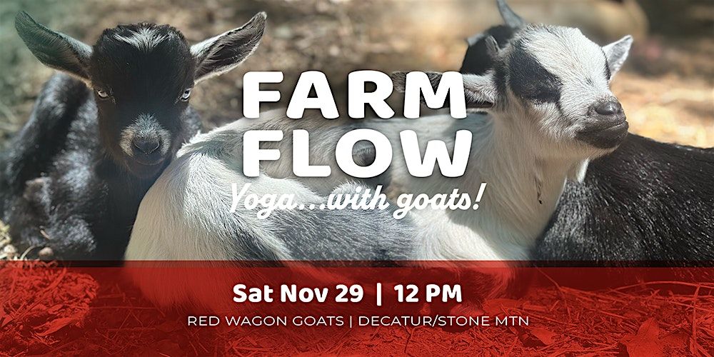 Farm Flow...Yoga with GOATS | THANKSGIVING WEEKEND