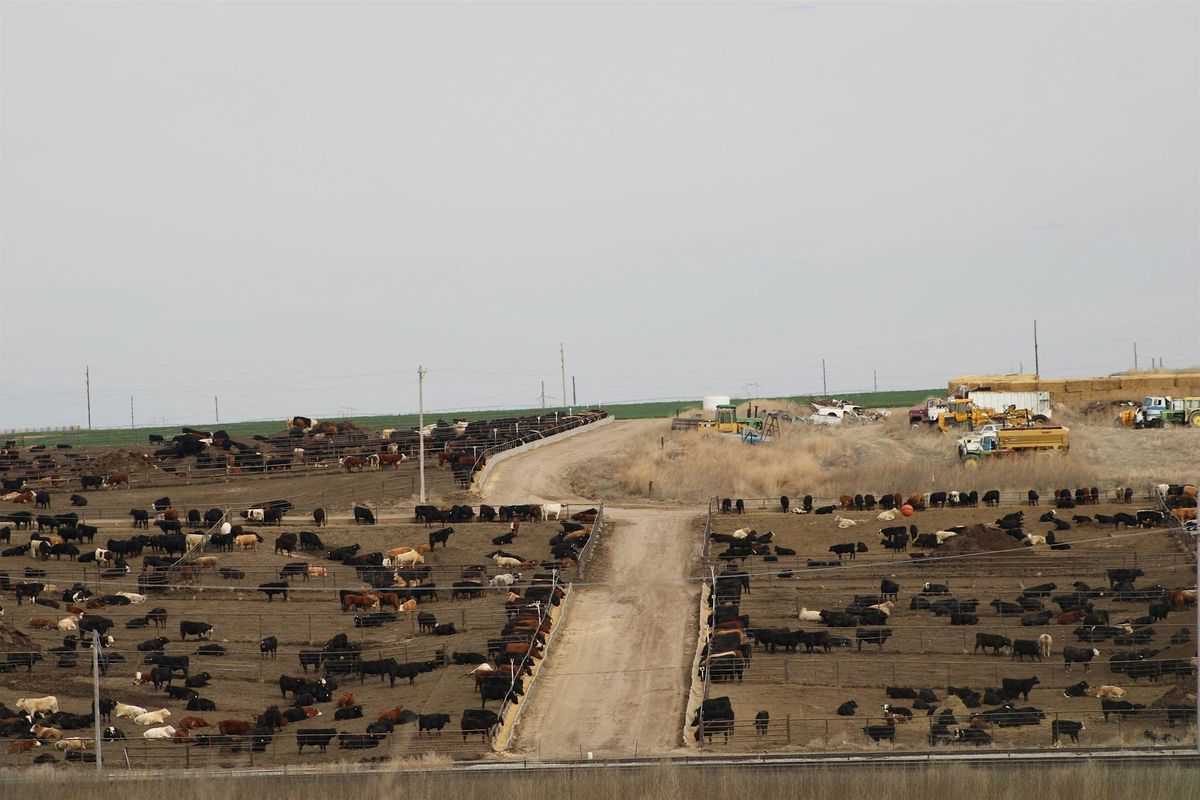 Awesome Scavenger Hunt - Dodge City\u2018s Dazzling Scavenger Dash