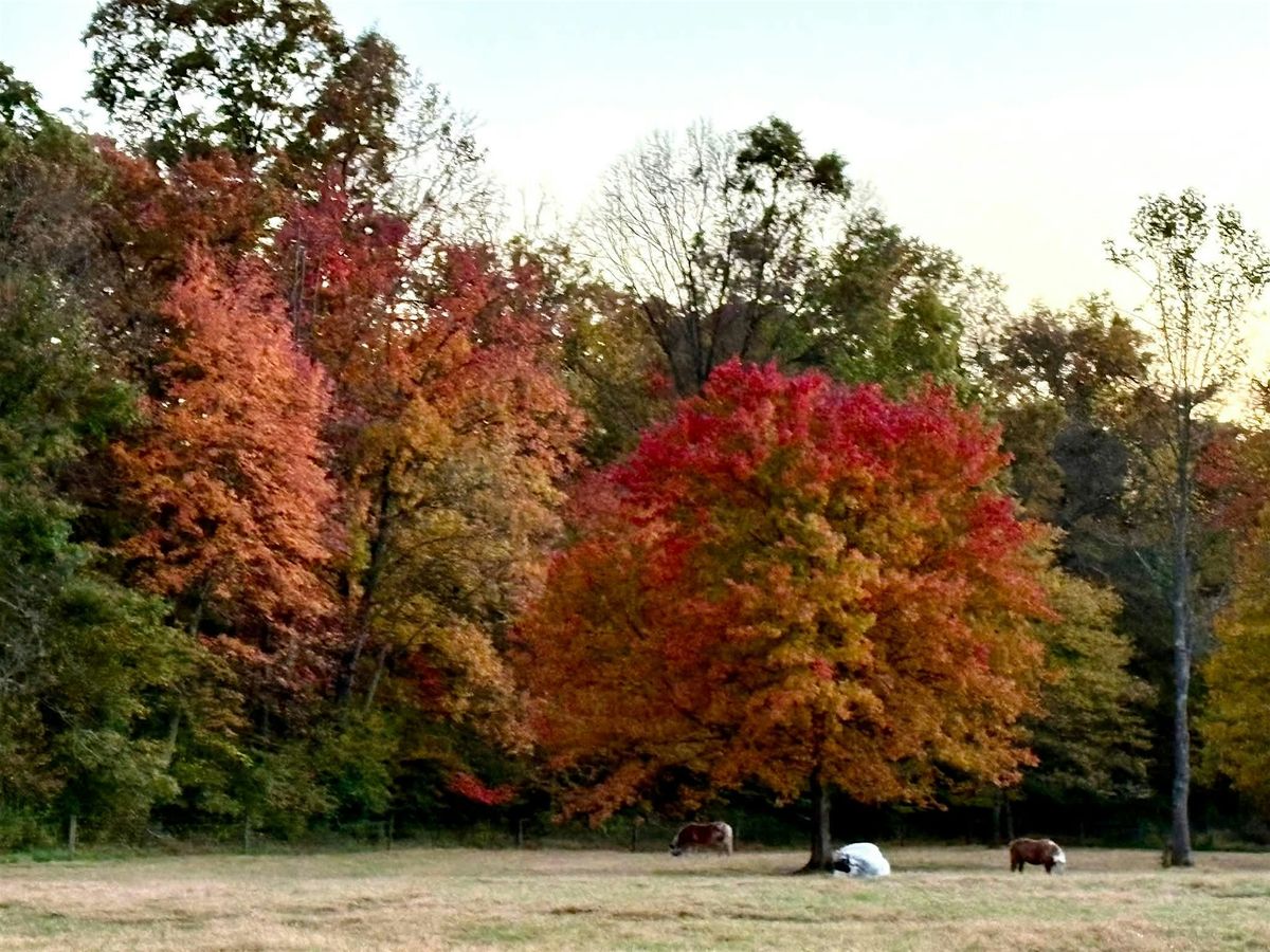 CTR Fall Festival