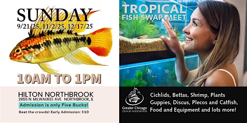 GCCA - Tropical Fish Swap (Over 100 tables & thousands of freshwater fish)