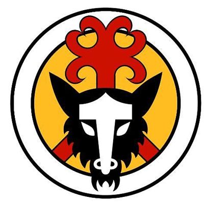 The Vikings
