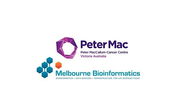 Intro to Python Workshop