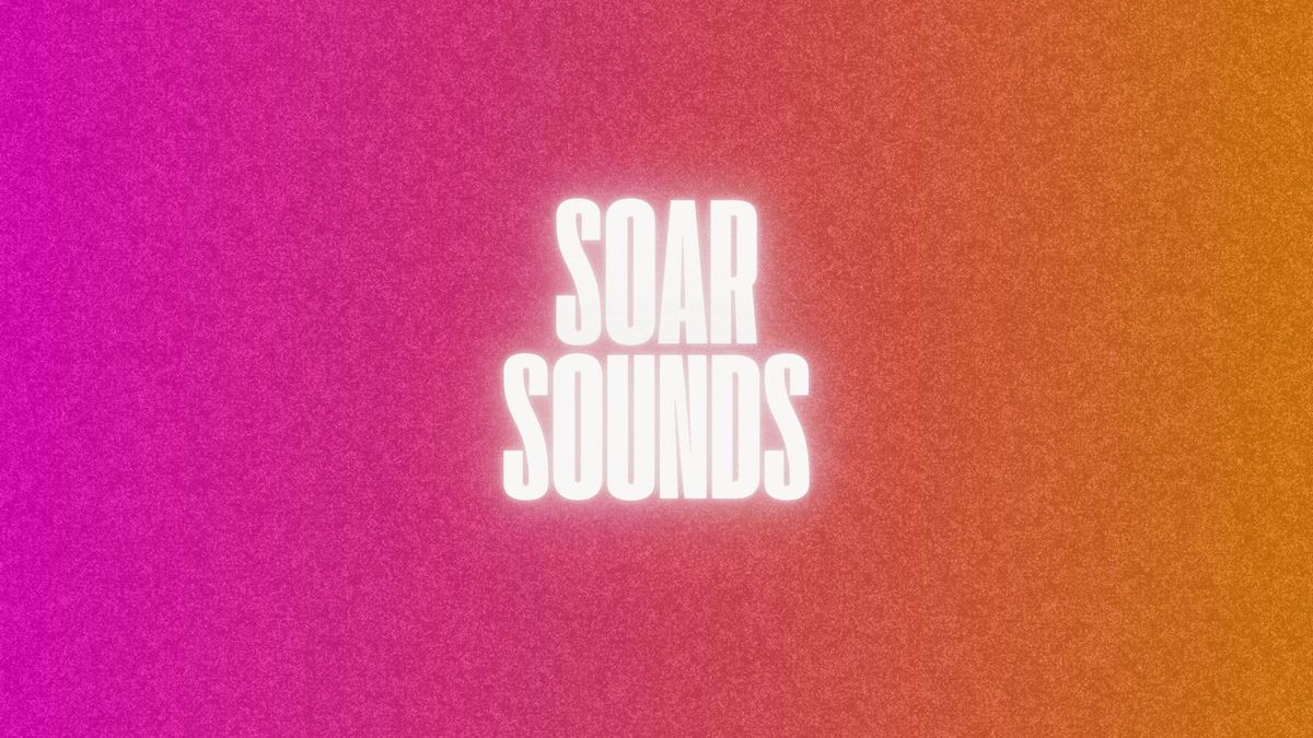 Soar Sounds in the Day