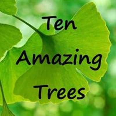 Ten Amazing Trees