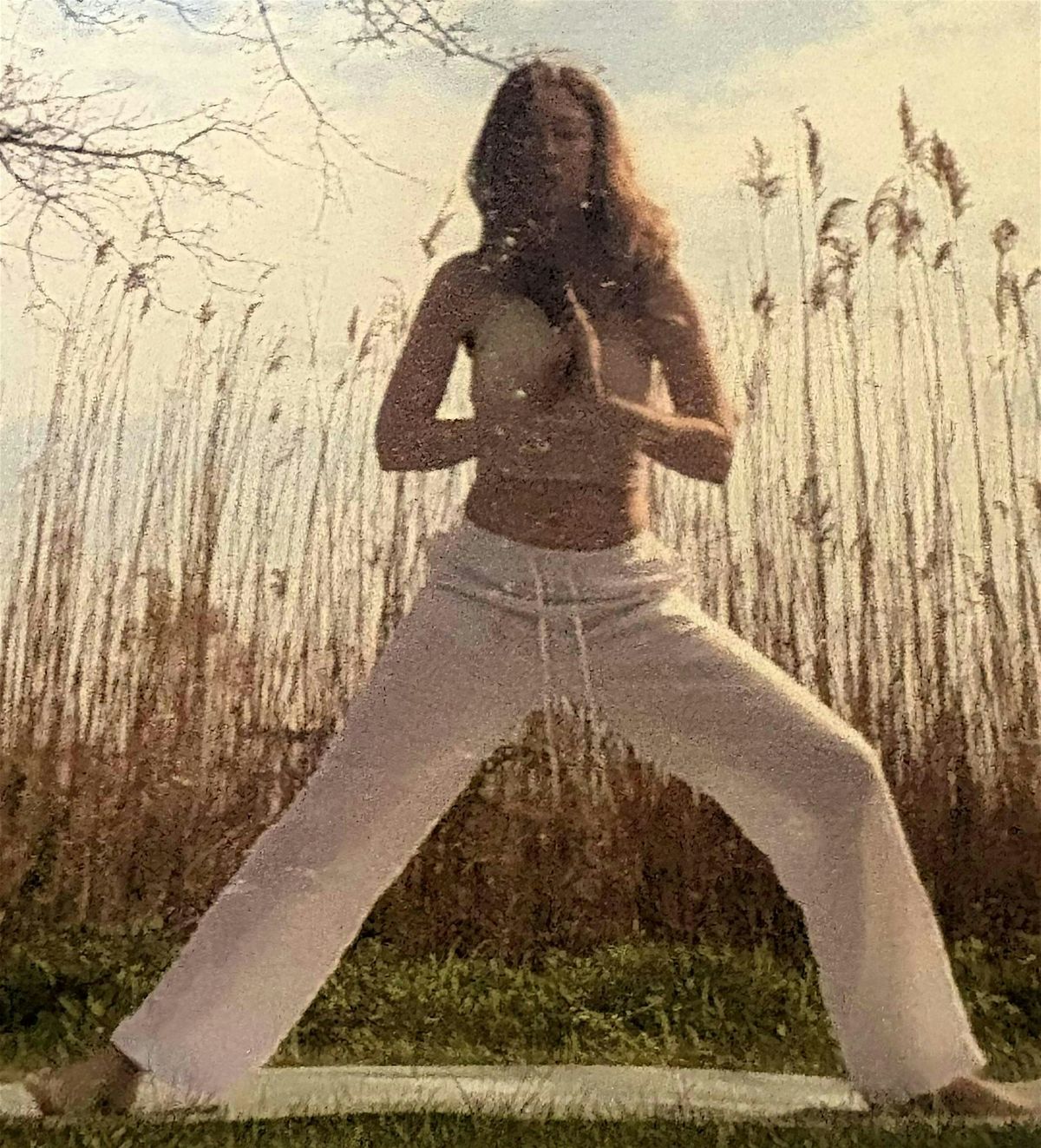 Vinyasa Yoga and Sound Bath with Karen Wynne