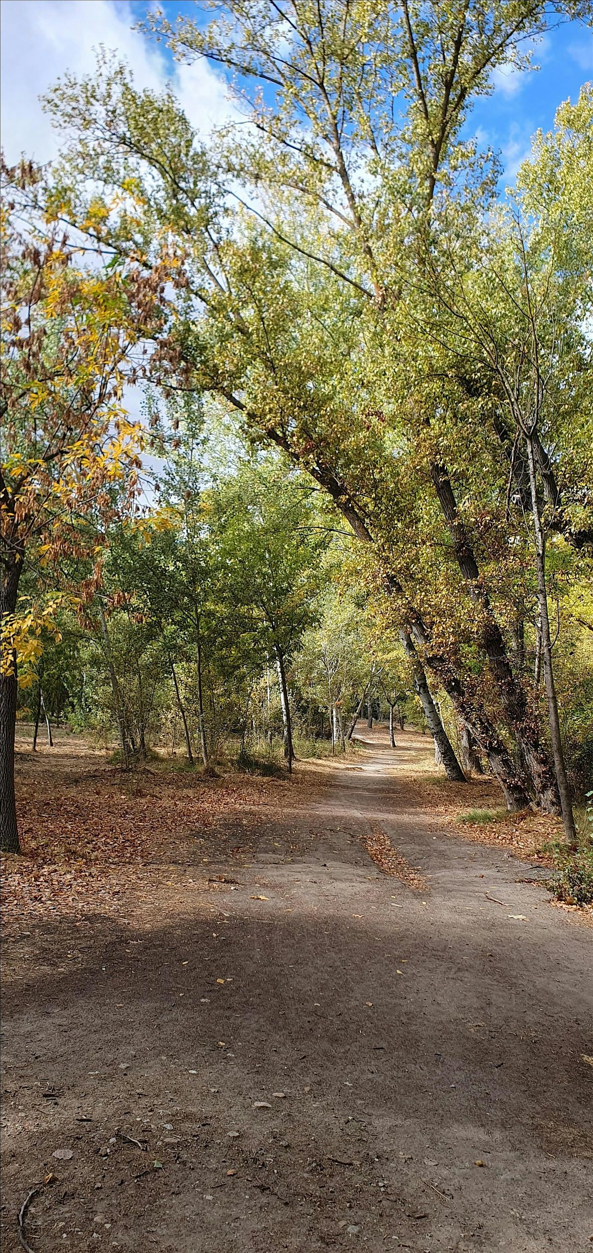 Nature Explorer's Madrid @ Casa de Campo