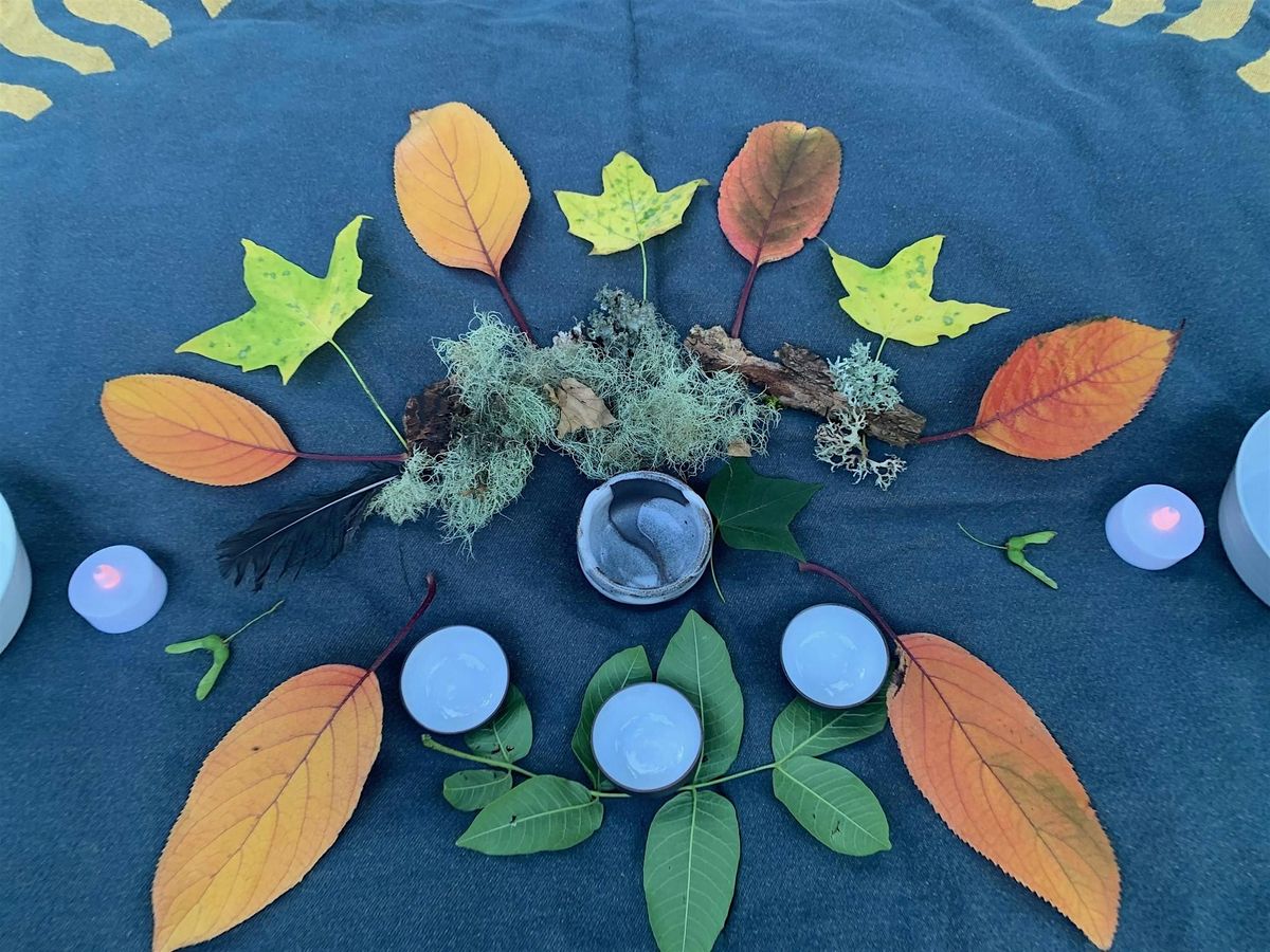 Forest Bathing - Autumnal Equinox
