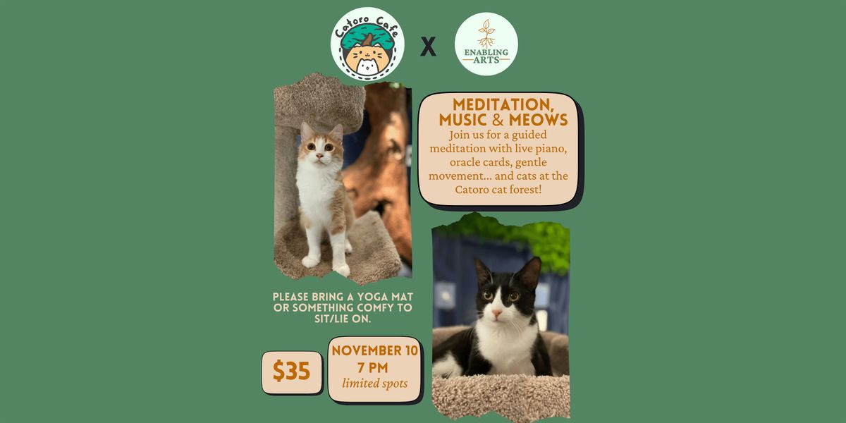 Meditation, Music & Meows