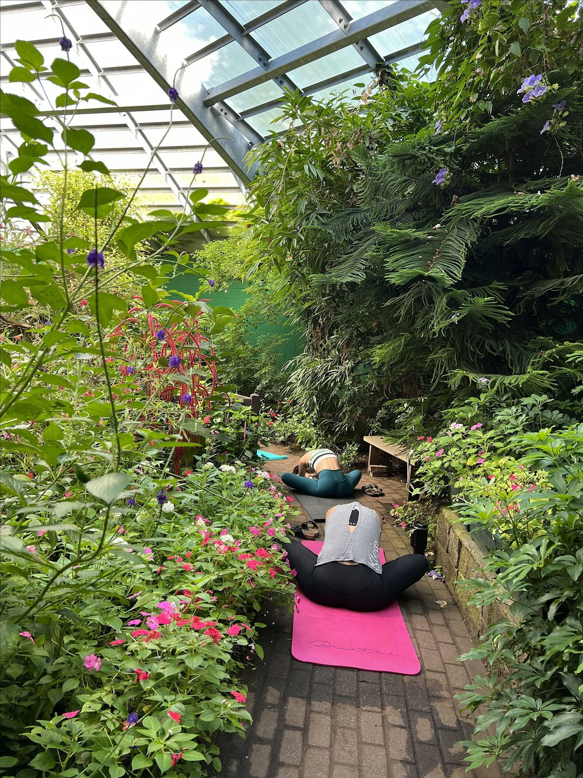 Butterfly Yoga