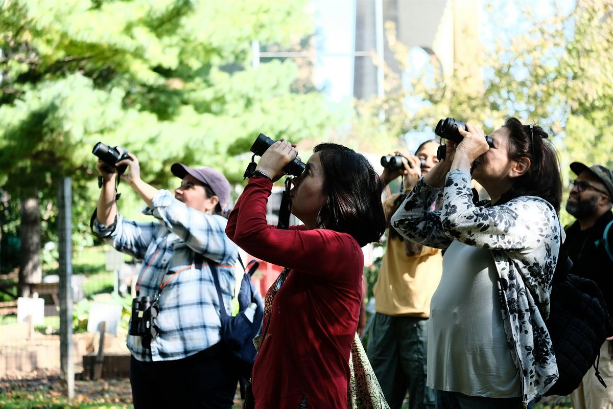 Trekking through tweets and trees: fall bird walk on Randall's Island