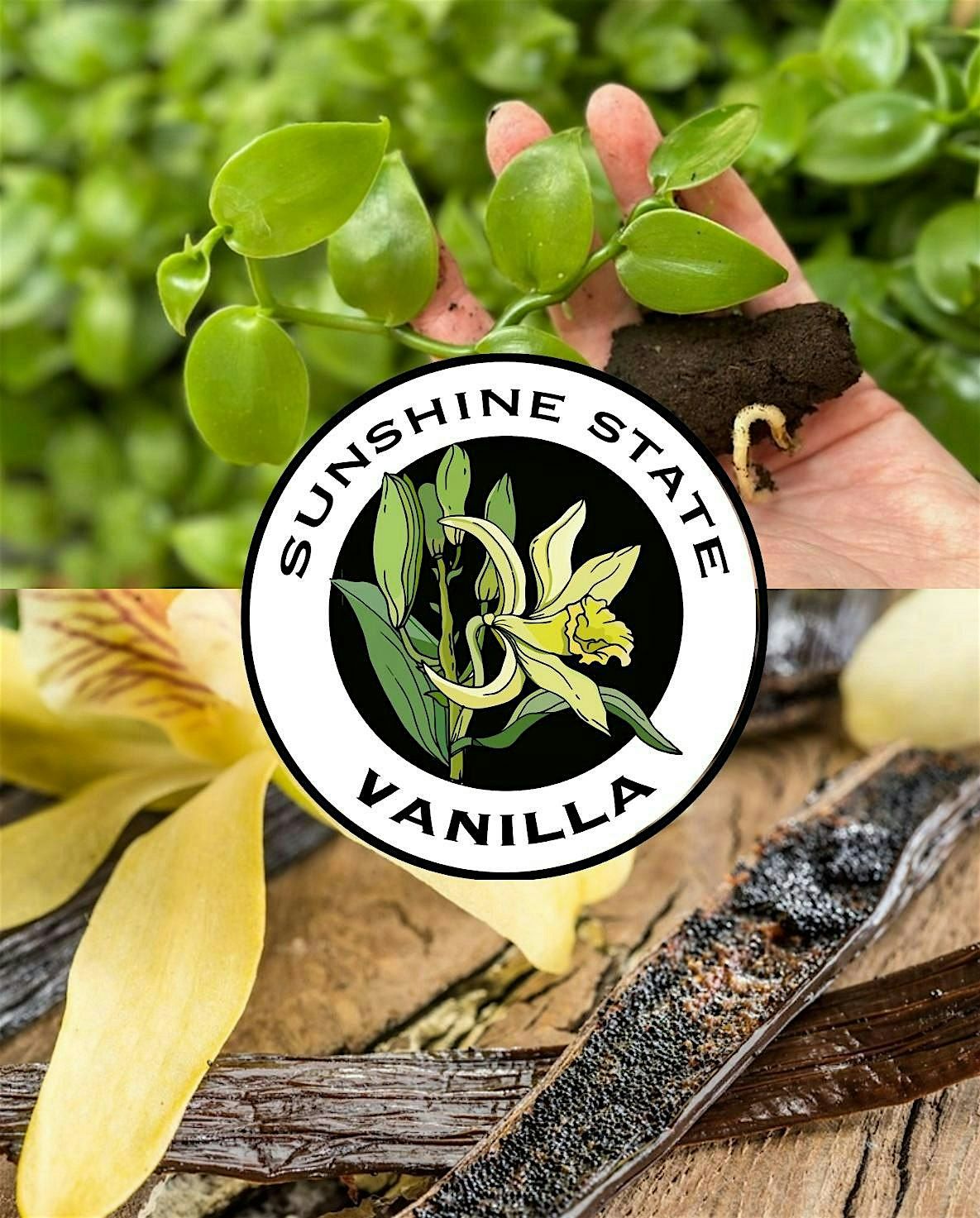 Sunshine State Vanilla Launch Party