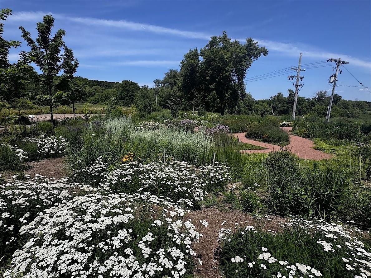 Designing a Meadow-ette