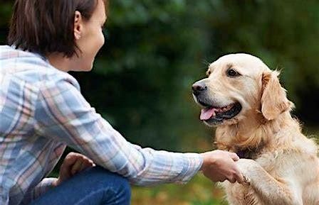 Pets for Mental Health course
