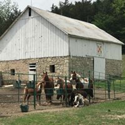 Lazy T Ranch - Adventures in the Flint Hills