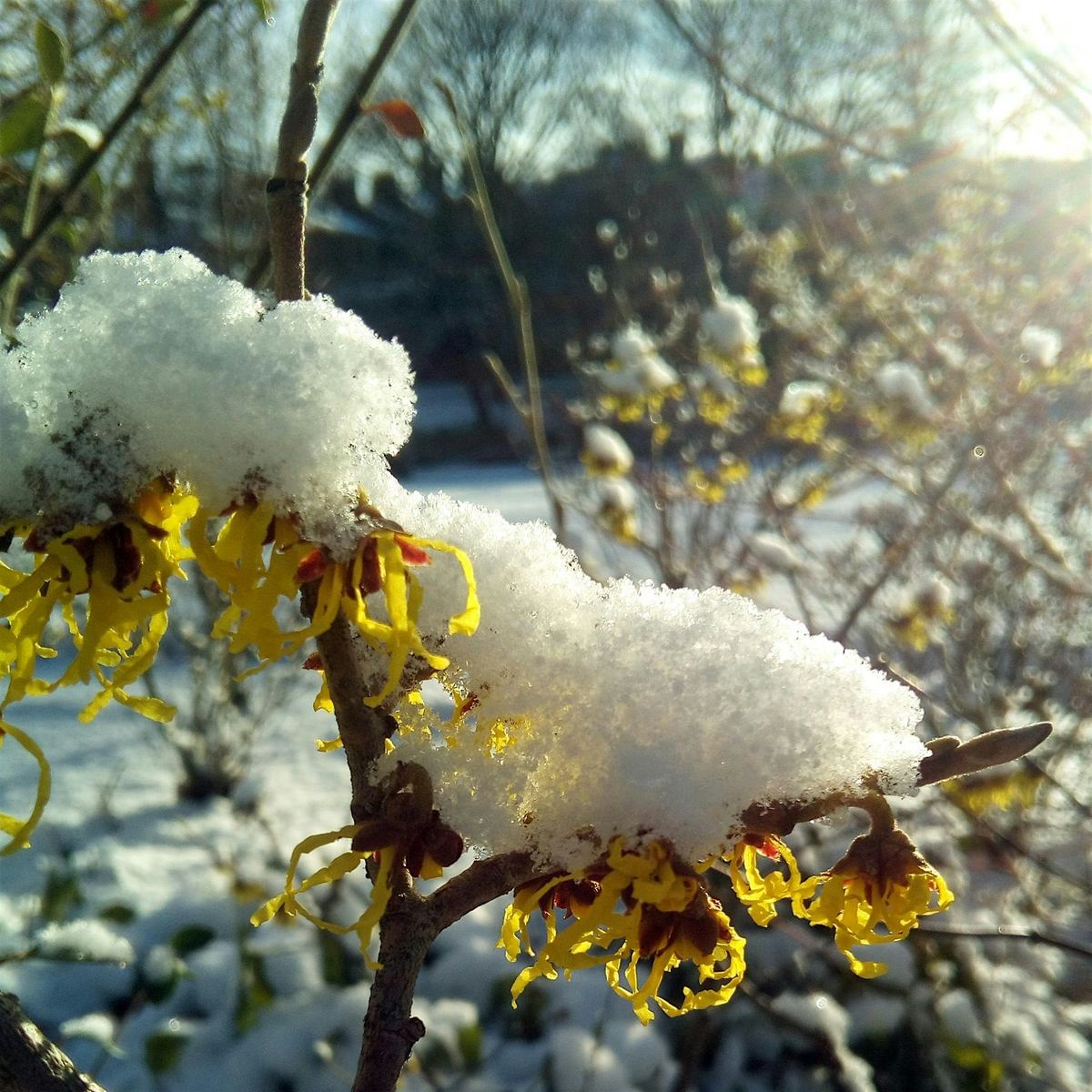 Winter Solstice Singalong