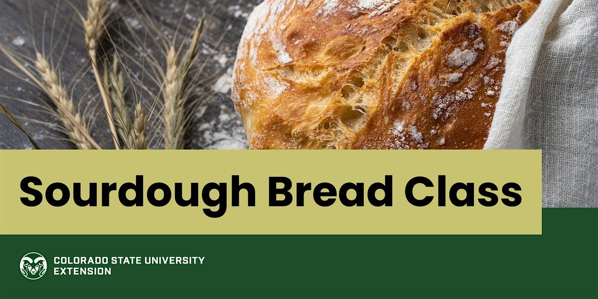Sourdough Baking Class