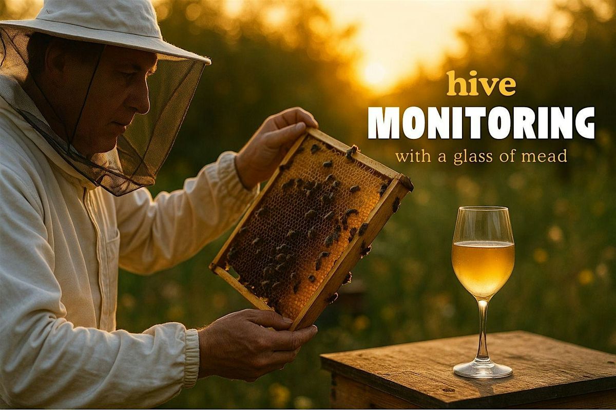 Hive Monitoring With a Glass of Mead