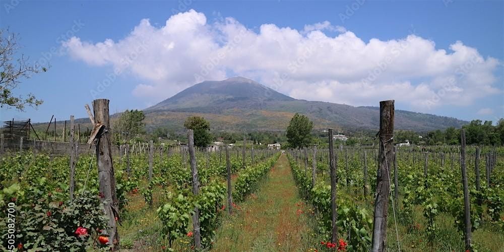 Uncorked: A Tour of Campania