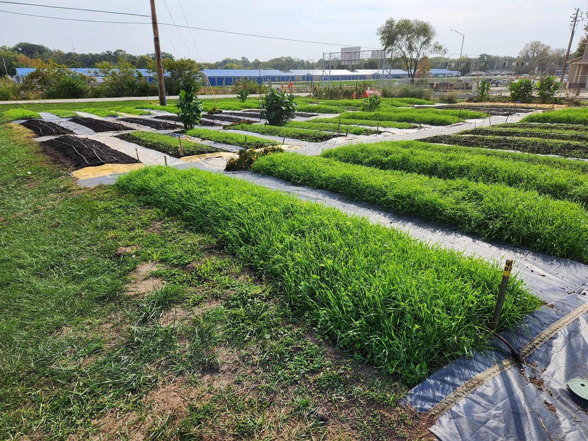 Bethany Community Gardens FREE Gardening Class - August 26th, 2025